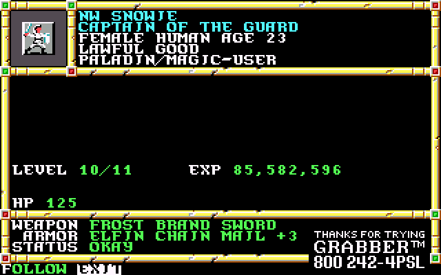 NW Snowie's character sheet from Neverwinter Nights.